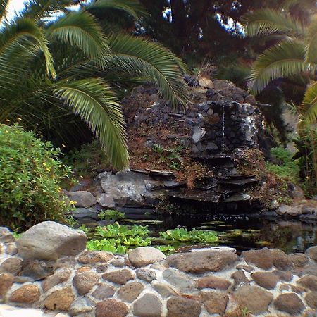 מלון אל פאסו Jardin De Aridane מראה חיצוני תמונה