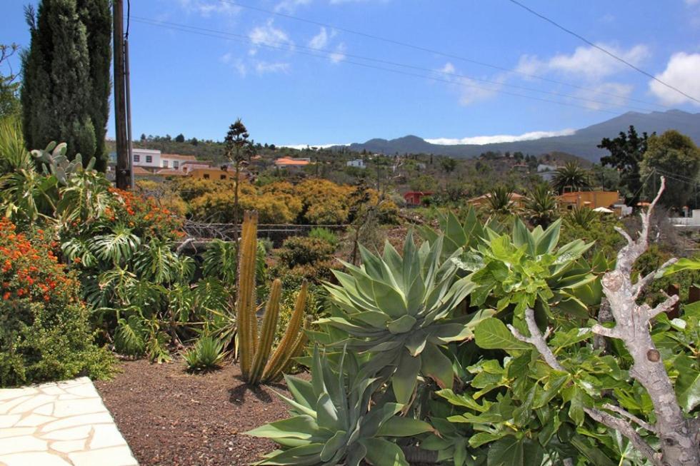 מלון אל פאסו Jardin De Aridane מראה חיצוני תמונה