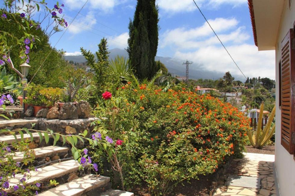מלון אל פאסו Jardin De Aridane מראה חיצוני תמונה